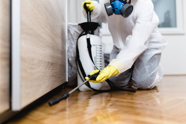 Best Insect Control  in Ogden, KS