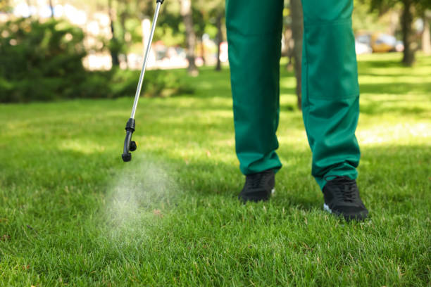 Best Pest Control Treatment  in Ogden, KS