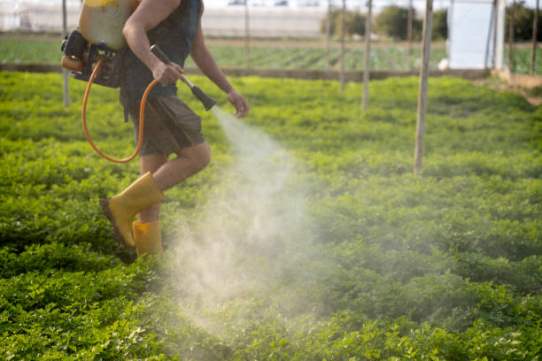 Best Best Pest Control Companies  in Ogden, KS