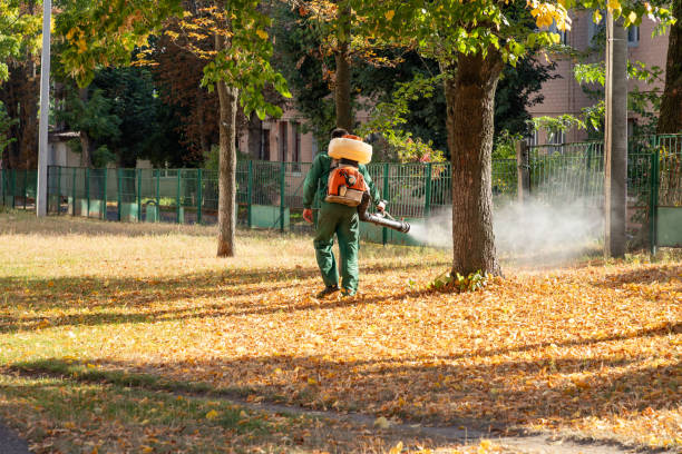 Best Mosquito Control Services  in Ogden, KS